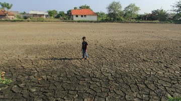 Anak-anak terancam bencana iklim di seluruh dunia